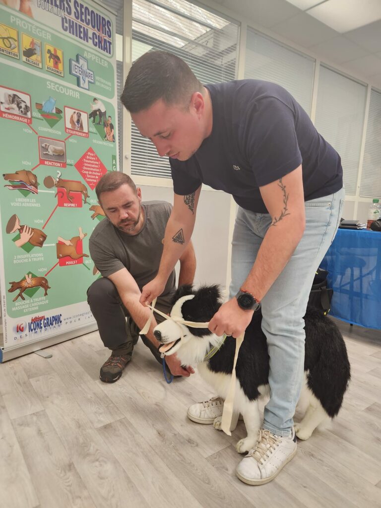 FORMATION DE FORMATEUR PREMIERS SECOURS CANINS ET FÉLINS