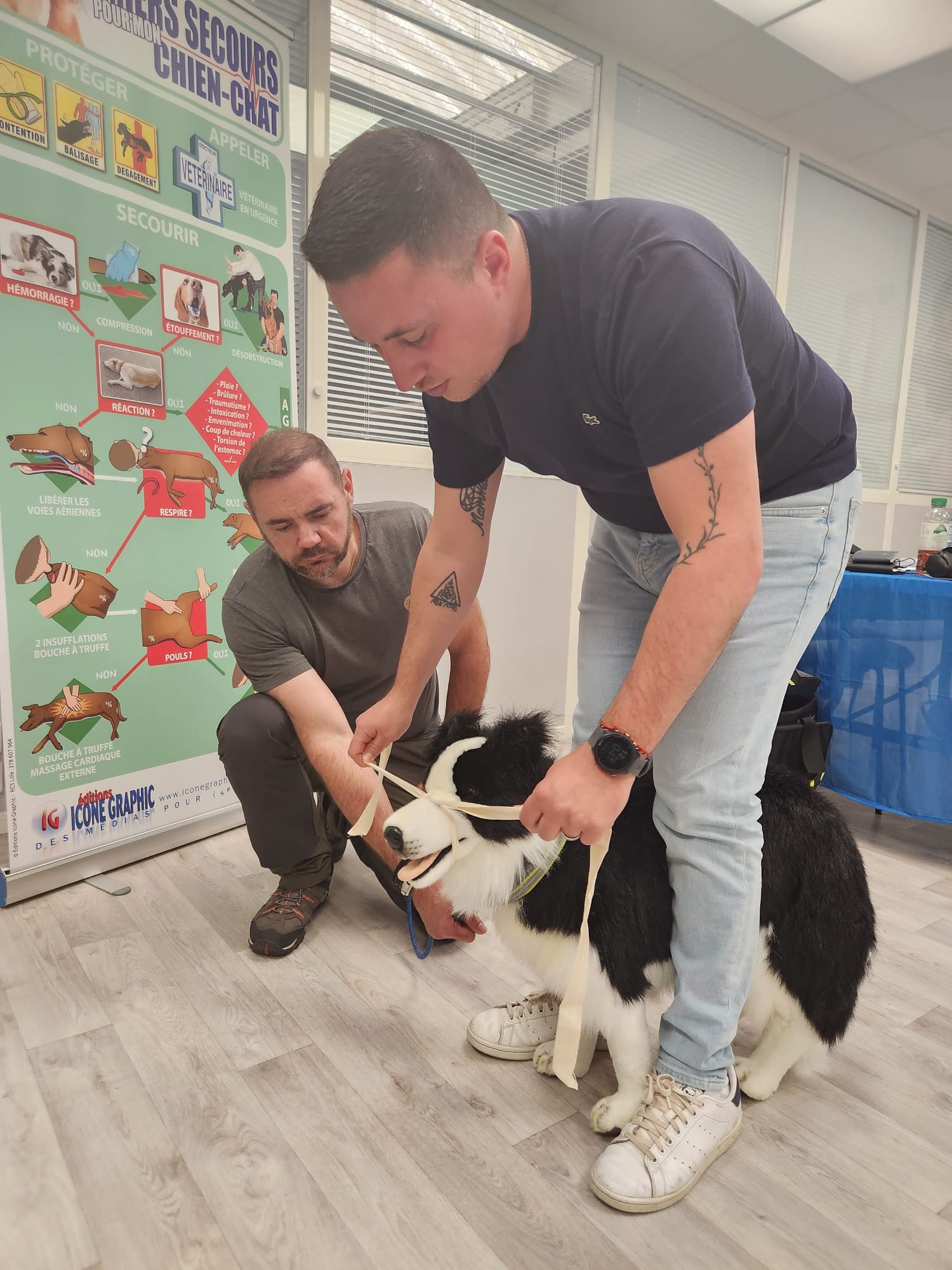 FORMATION DE FORMATEUR PREMIERS SECOURS CANINS ET FÉLINS