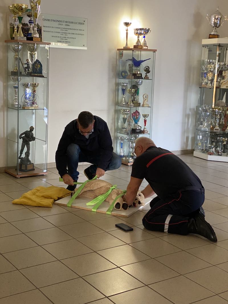 FORMATION UDPS 44 FORMATEUR PREMIERS SECOURS CHIEN CHAT