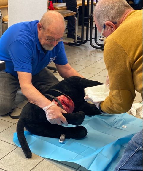 Formation de sauveteur aux premiers secours pour mon chien et mon chat de niveau 2 en stage d’une journée