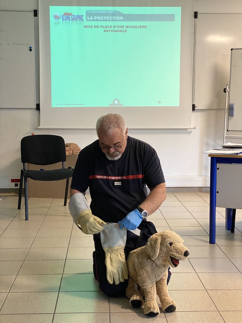 formation sapeur-pompier formateur premiers secours canins félins udps 44